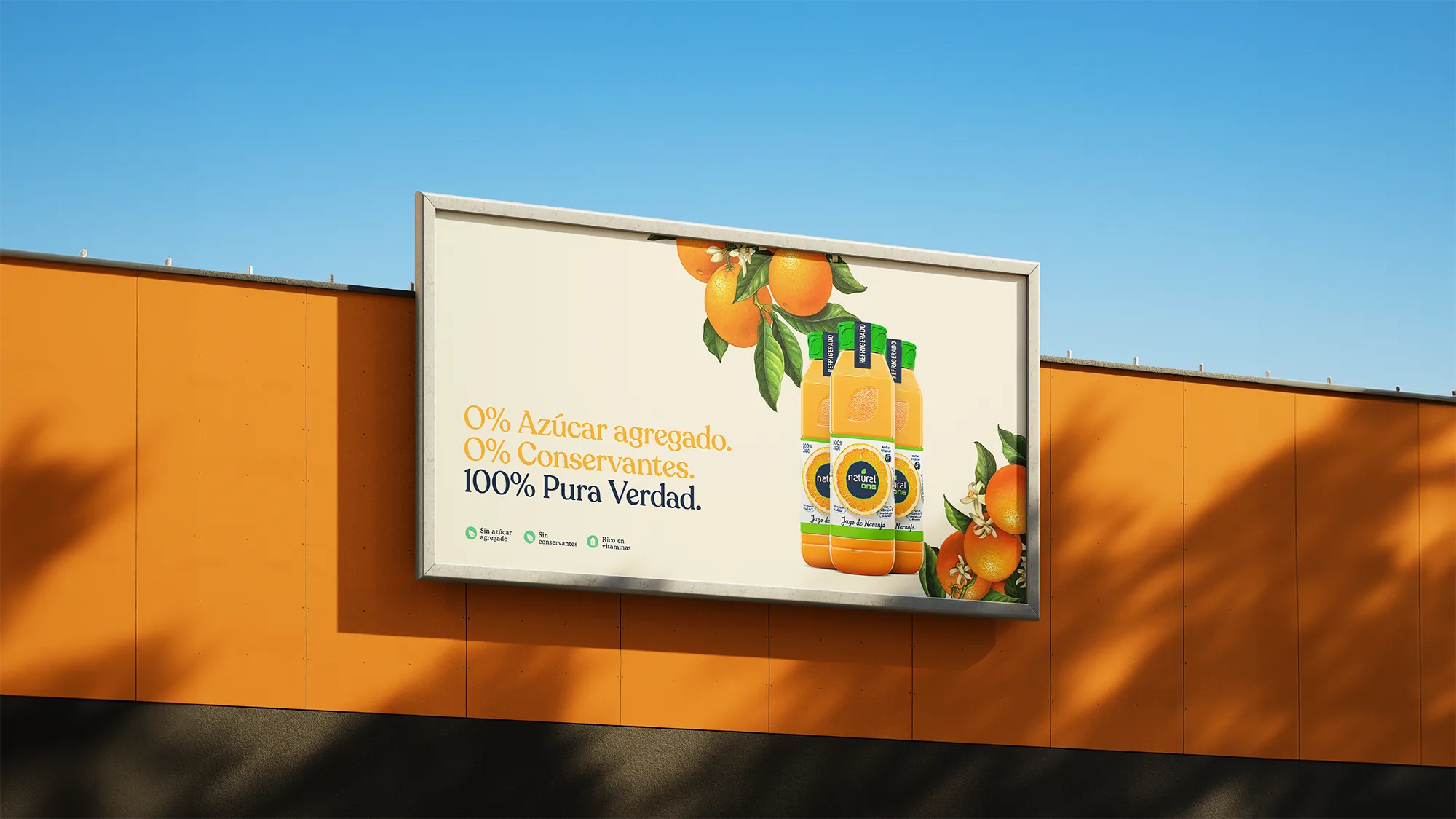 Natural One — Natural One